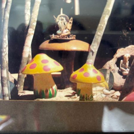 Refúgio das Fadas Praia de Pipa Exterior foto